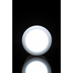 RidgeMonkey - Multi Lite Plus - trójkolorowa lampka